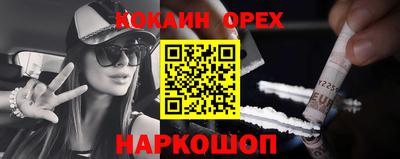 крисы Будённовск