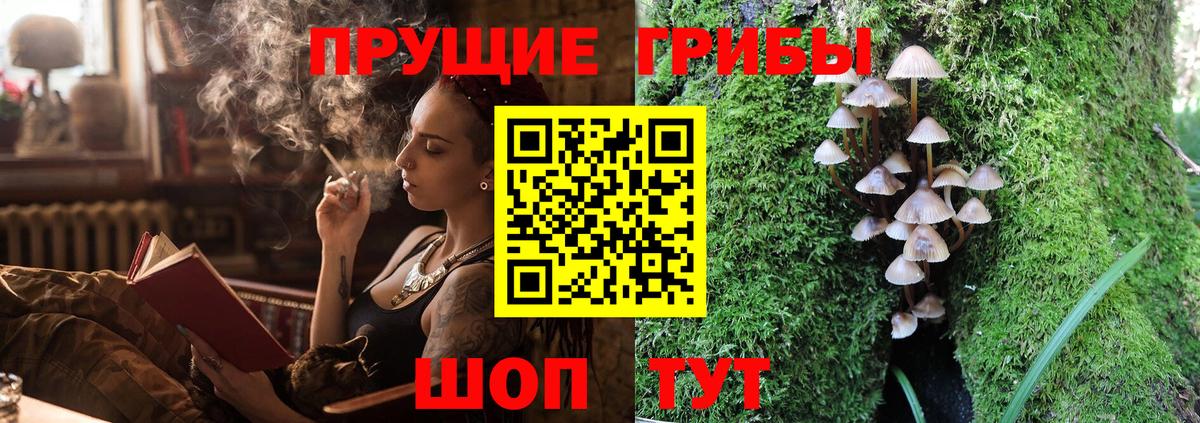 Таганрог  Псилоцибиновые грибы MAGIC MUSHROOMS  Вход с VPN  Псилоцибиновые грибы мицелий 